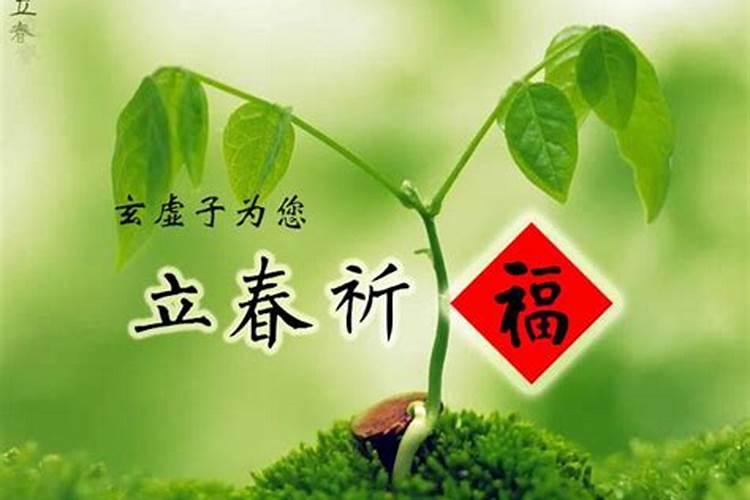 梦见枣树和枣什么意思呀