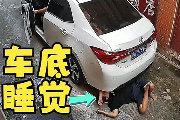 做梦梦到做汽车