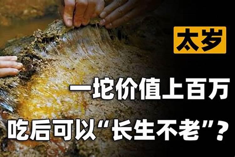 梦见活人死了又活过来了啥意思