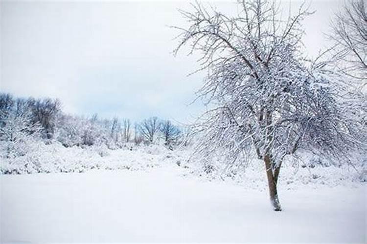 女性梦见下雪什么情况