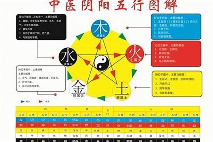 94年是五行属什么命人呢