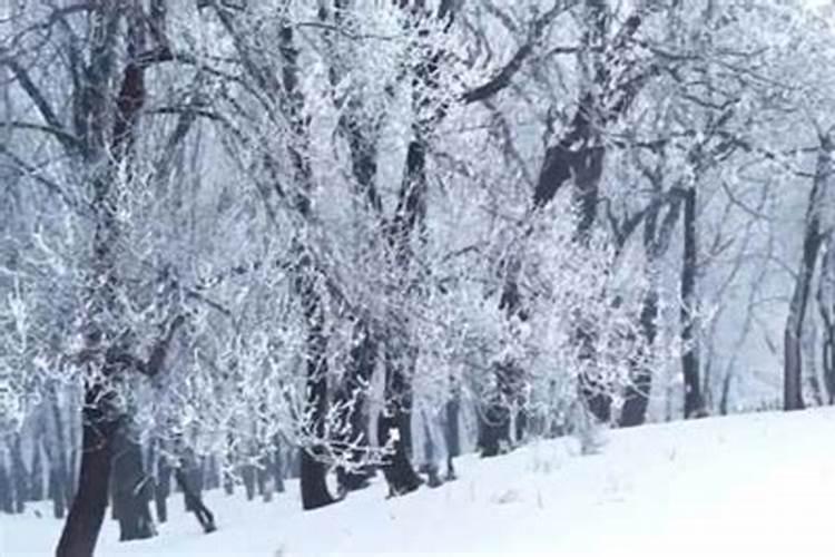 梦见大风大雪纷飞好冷