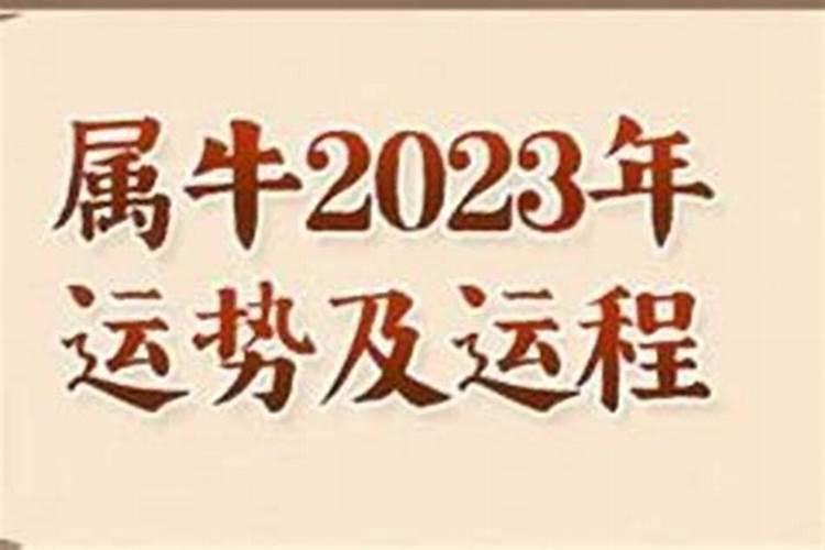 属马的2021年贵人