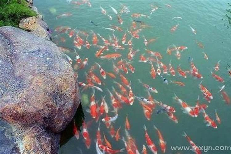 梦见雨伞是什么意思周公解梦女人生孩子了