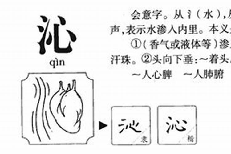 康熙字典沁字五行属什么属性