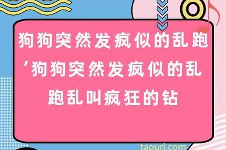 梦见妹妹拿钱给我是怎么回事