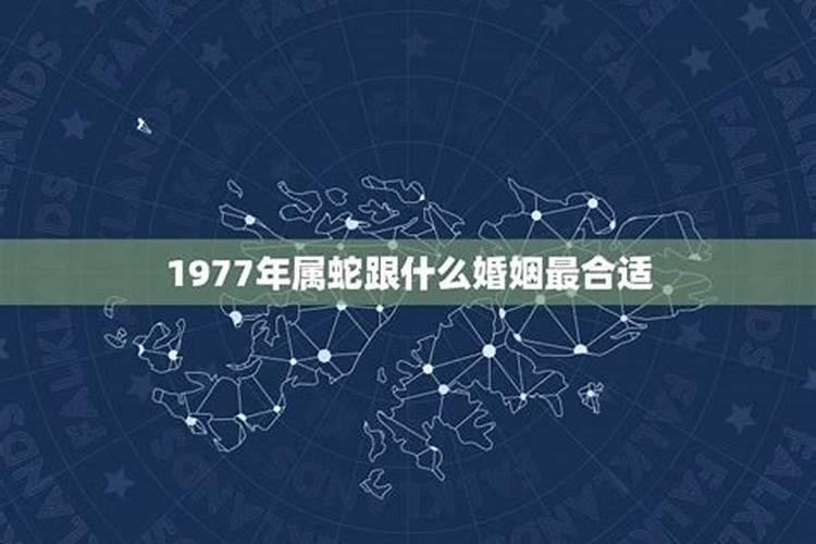 1977年属蛇和蛇的婚姻怎么样