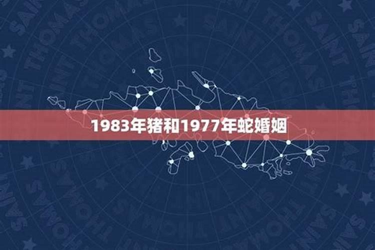 1983和1977年属蛇的结婚好吗