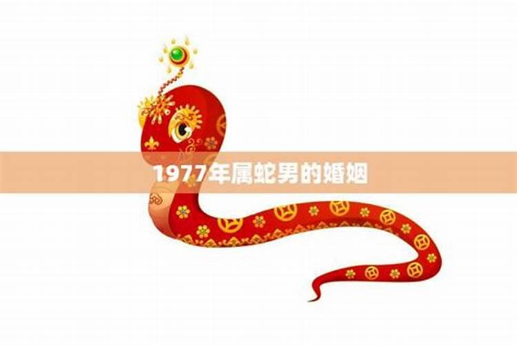 1977年属蛇男的婚姻