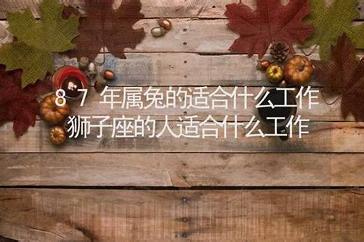 属兔的适合什么行业