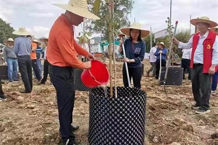 虎和龙婚姻怎么样能幸福吗