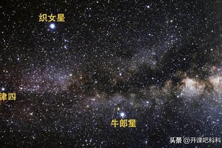 牛郎星属于什么座织女星属于什么座