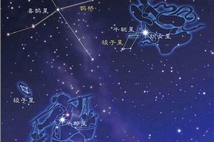 牛郎星和织女星各属于什么星座