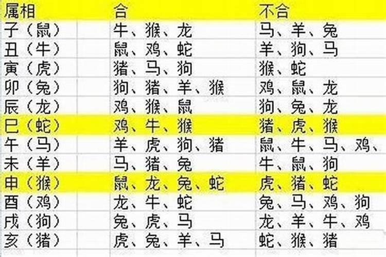 八字三合见哪支破