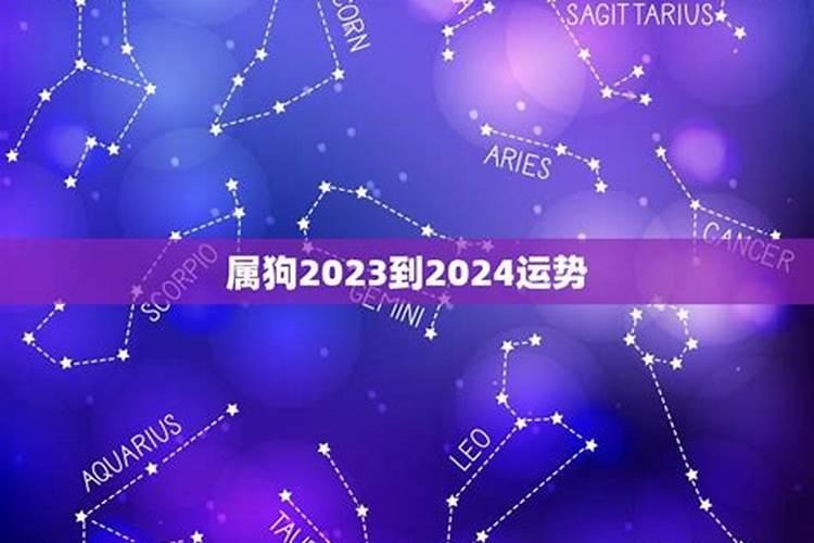 属狗2022到2024运势