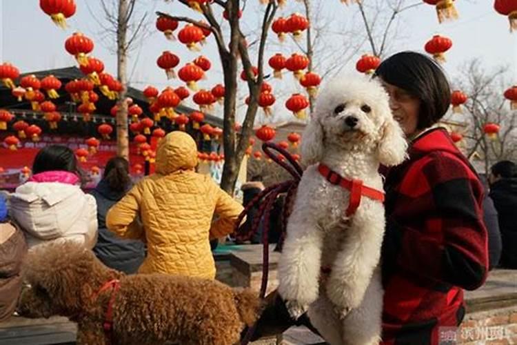 大年初一是指什么生肖