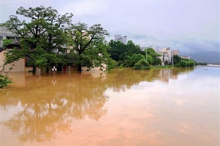 梦见老家下大雨发洪水什么意思呀