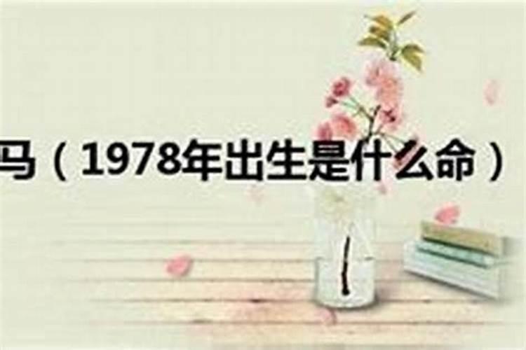 1978年是什么命属什么命