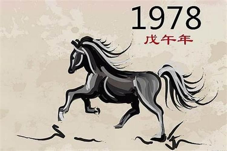 1978年12月出生的马的命运