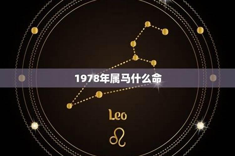 1978年属马和属什么最相配