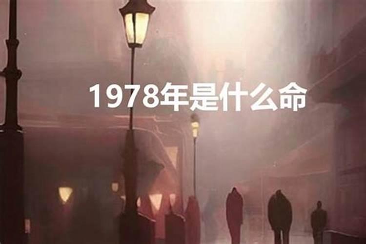 1978年是什么属相什么命的