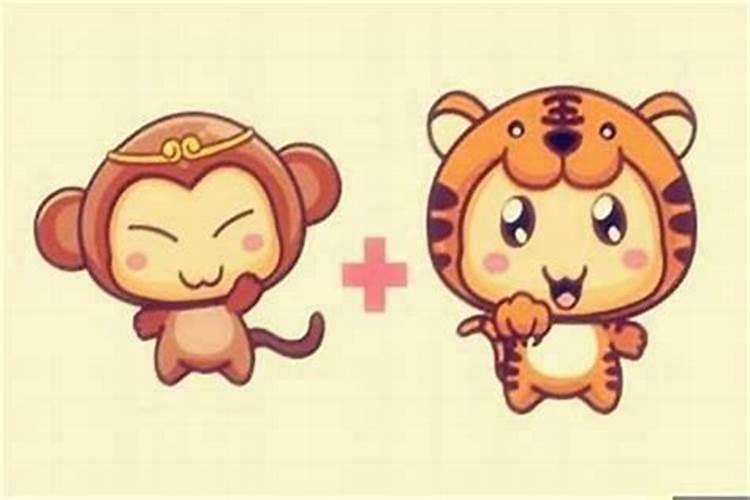 属猴与虎能不能合作做朋友