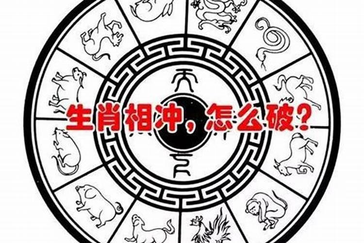 和鼠对冲的生肖是什么意思