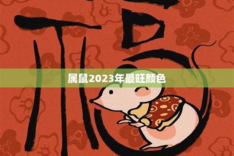 2023属猪的全年运势如何