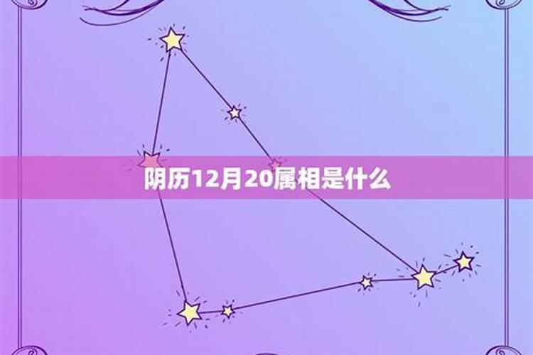 农历12月20日是什么生肖