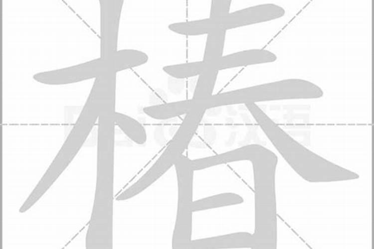 椿字的五行属性是什么