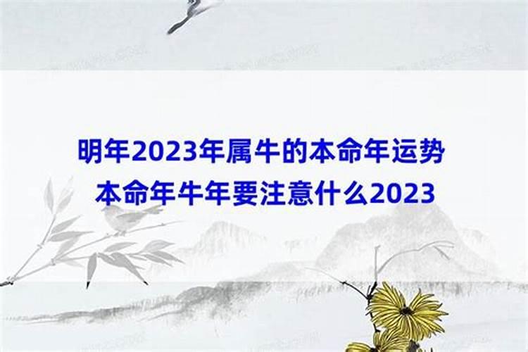 梦见男人生殖部位有血迹了