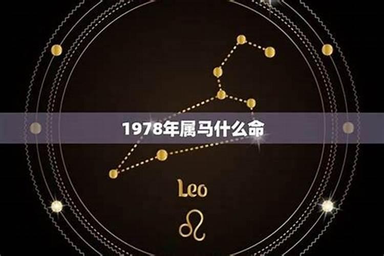 1978年11月出生的属马