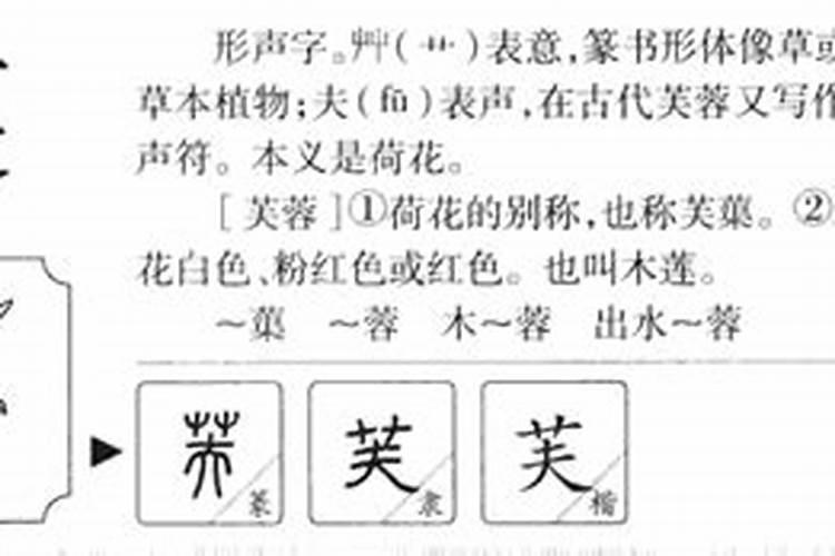 芙字五行属什么的