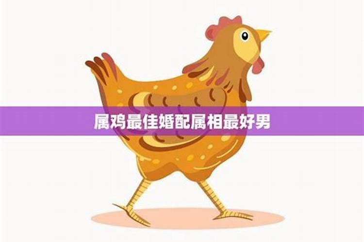 2019属鸡的运势和财运