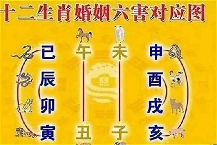 今年三十岁是属什么的