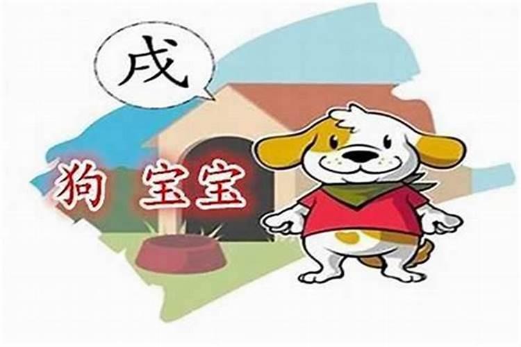 属狗生在正月是什么座