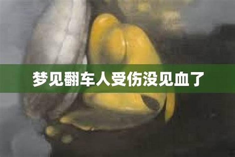 梦见翻车见血人被救出了