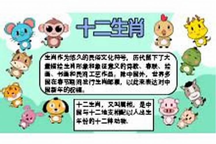 善恶到头终有报打一动物生肖