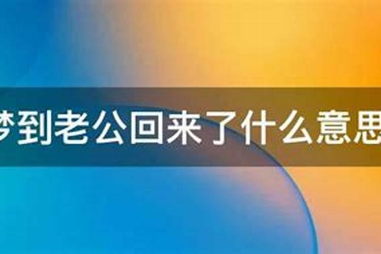 梦见自己的老公回来了预示着什么