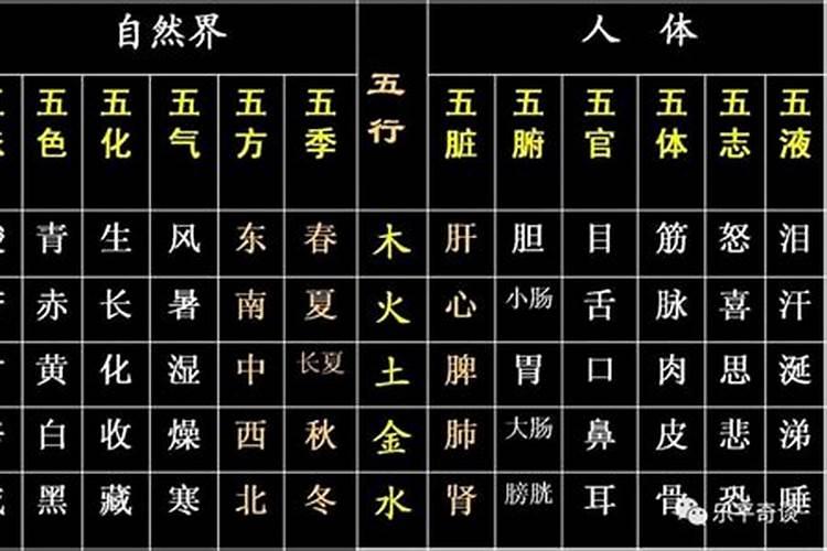 秀字属于五行属什么行