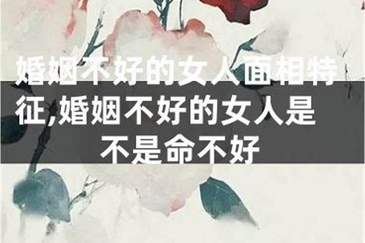 属马的女人不好吗