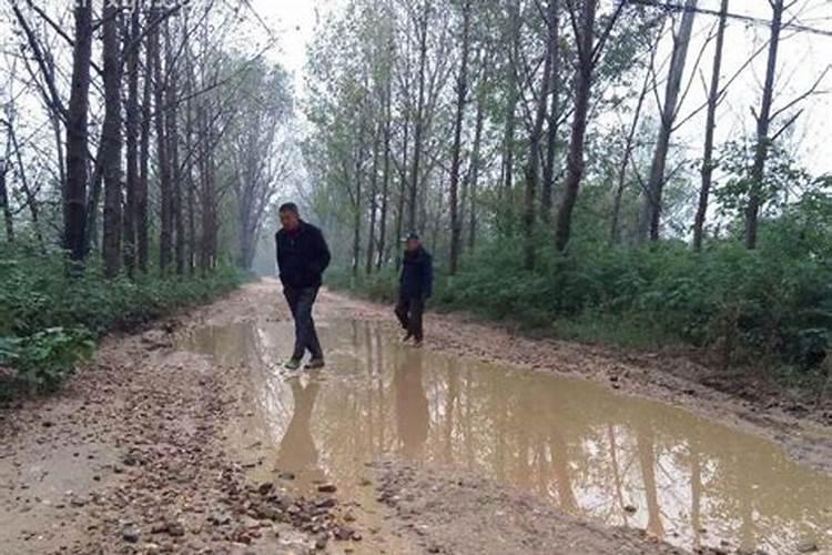 梦见路上到处是泥土