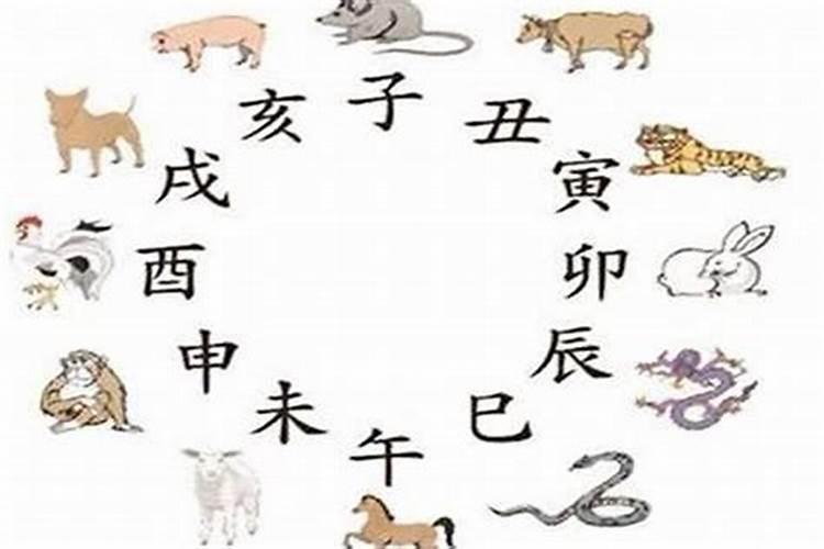 猪日冲蛇出什么生肖