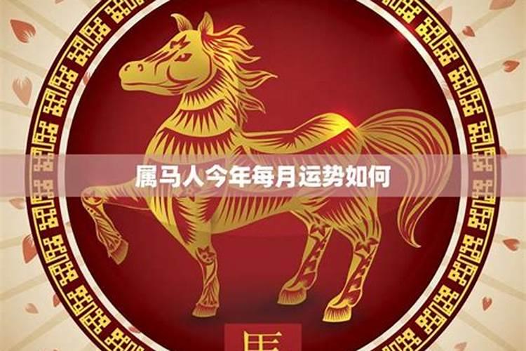 2023年属马的人的运势