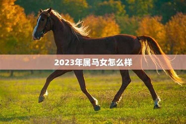 2023年属马女的运程如何