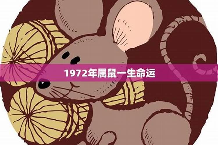 84属鼠女命2023年运势