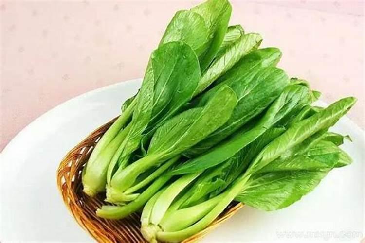 梦见都是青菜