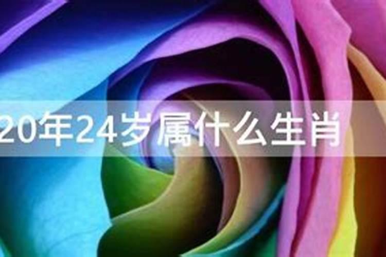 2020年24岁属什么的生肖婚配