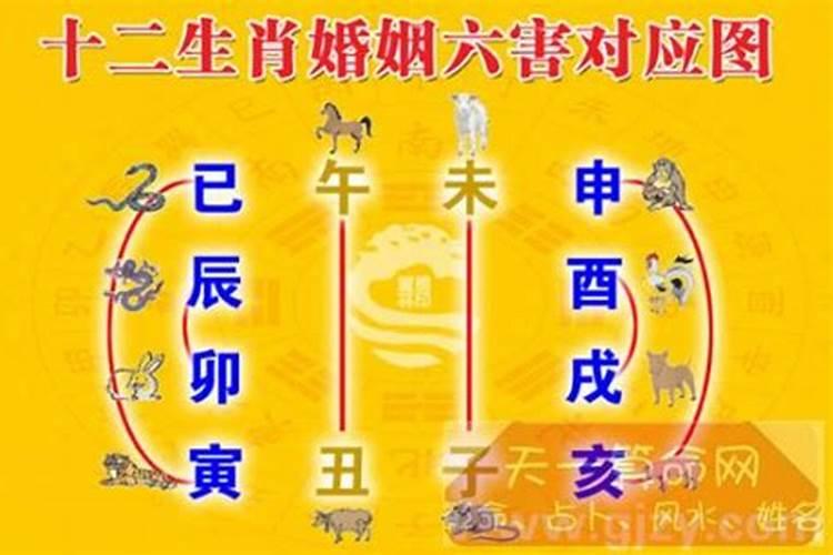 十六岁今年属什么生肖