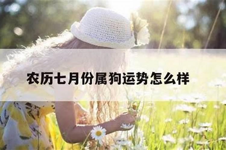 属狗七月份的运势如何